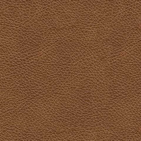 Carianna Sofa Sleeper