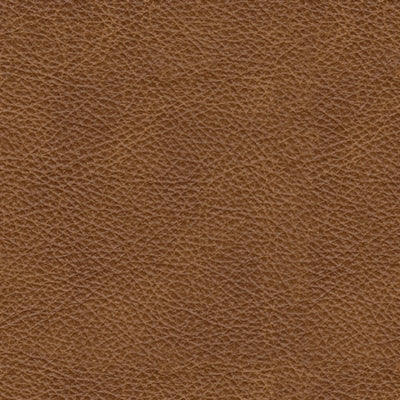 Carianna Sofa Sleeper