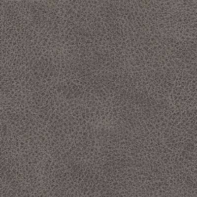 WhipLash Power Reclining Sofa